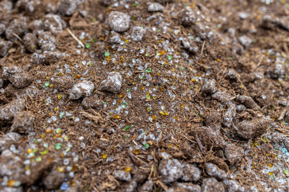 venus flytrap soil mix with glass