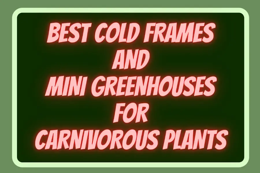 Best Cold Frames & Mini Greenhouses For Carnivorous Plants